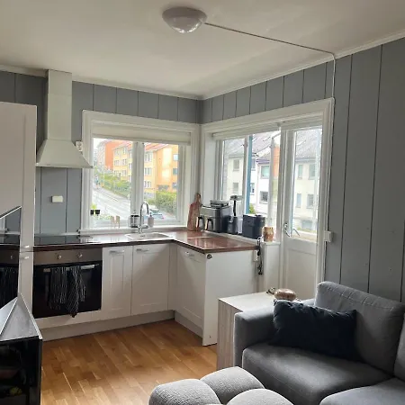 Cozy With A Sunny Side, Ulriken Is Close By Lägenhet Bergen